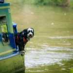 Saltford Marina Ltd
