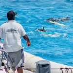 Westfield Sub Aqua & Marine Insurance Services Ltd