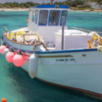 Morgan Marine Insurance Services