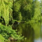 Quiet Waters Caravan Park